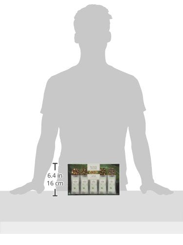 Tea Forte Lotus Single Steeps Loose Leaf Premium Tea Gift Set Sampler, 15 Count 3 of Each Assorted Blends, Pre-Portioned Single Serve Pouches, Steeps 12 oz