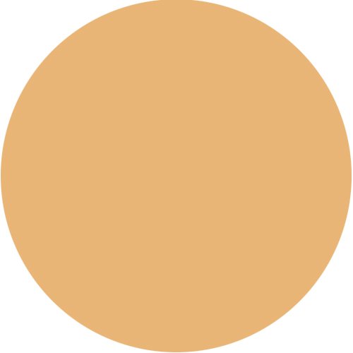 Luxury Oil Blotting Pressed Powder by Flori Roberts, Long Lasting Oil and Shine Control, Flawless Complexion for Women of Color or Deeper Skin Tones