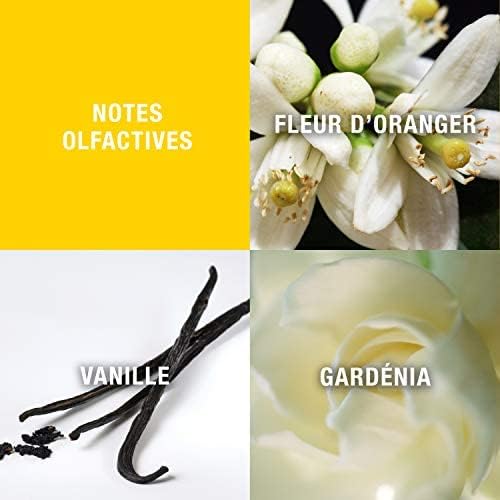 Giorgio Beverly Hills Women's Perfume, Eau De Toilette EDT Spray, Gift for Her, 3 Fl Oz