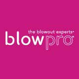 blowpro Faux Dry Spray Shampoo 1.6oz, Removes Excess Oils & buildup w/o Water, Re-Energizes Blowdry style, Adds Volume to Hair Root, Shine, Resiliency & Strength, Safe for All Hair Types Travel Size