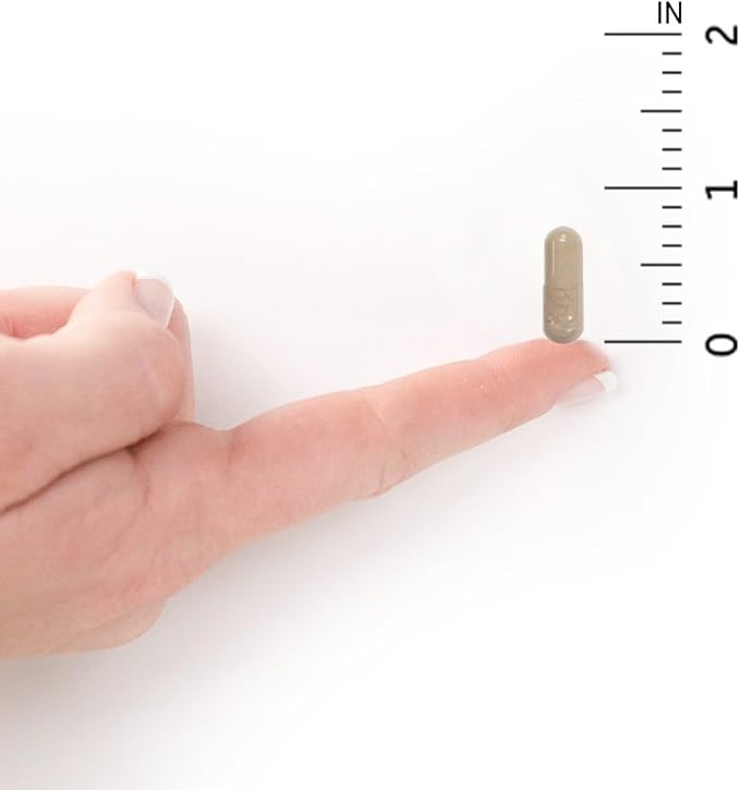 Garden of Life Vitamin Code Raw One for Women, Once Daily Women's Multivitamin - 75 Capsules, One a Day Vitamins Whole Food Iron, Probiotics for Digestive Health, Gluten Free Vegetarian