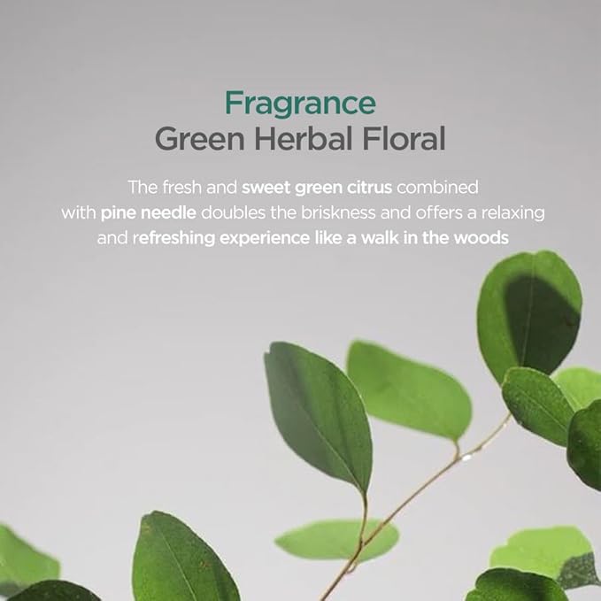 AYUNCHE Rebalancing Hair Serum 2.7 fl. oz. (80ml) [For All Hair Types] | Hair Root Protection & Strengthening | Scalp cooling effect | Biotin and probiotics | Korean Salon Brand