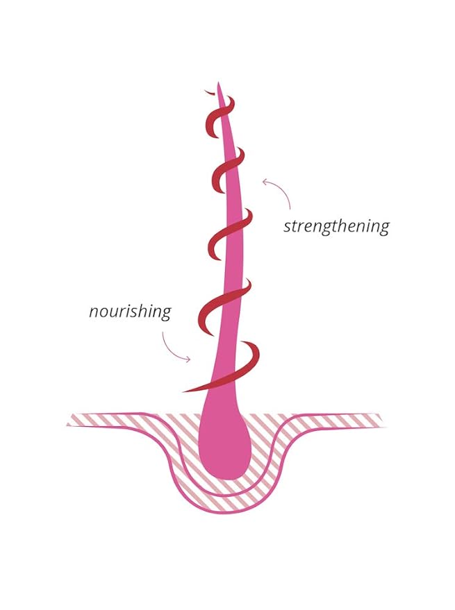 KHADI ROSE REPAIR Hair Oil - Regeneration for structurally damaged, dry hair & split ends - 100% natural, plant-based, vegan & silicone-free - 1.69 fl oz