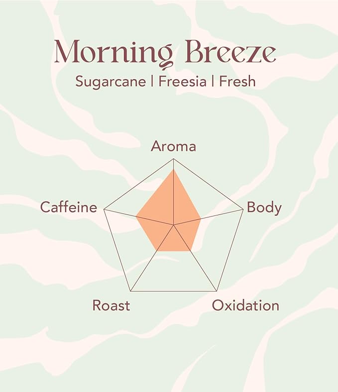 OOTINE | Morning Breeze Taiwan Oolong Tea (12 Sachets) | Lightly Oxidized for a Fresh, Green-Tea-Like Taste | Sugarcane & Freesia Notes | Hand-Picked Whole Leaves, Plastic-Free Sachets | Supports Gut Health & Multiple Infusions, Travel-Ready
