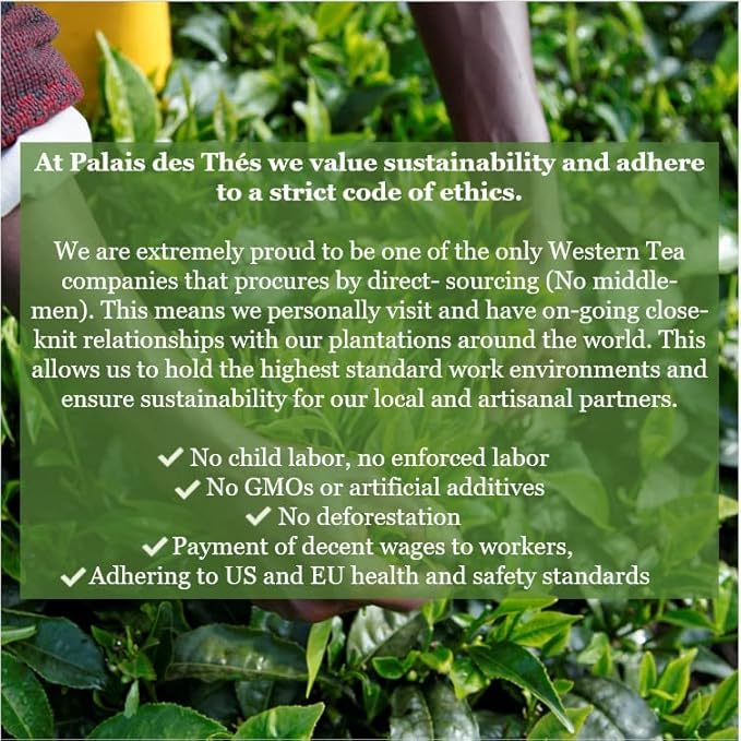 Palais des Thés - Organic Brazilian Wellness Green Tea for Energy with Matcha, Mate, Guarana, Açai, and Acerola - Premium Loose Leaf, Serves 20-25 Cups - 3.5oz Tin