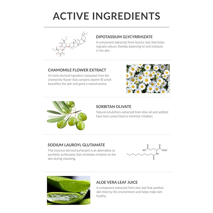 Anti-Sebum Foaming Facial Cleanser for Oily Skin - 100ml - Non-Irritating Dermatological Face Wash Cleansing Foam - Controls Excess Sebum, Soothes Irritation, Sulfate-Free, Korean Skin Care