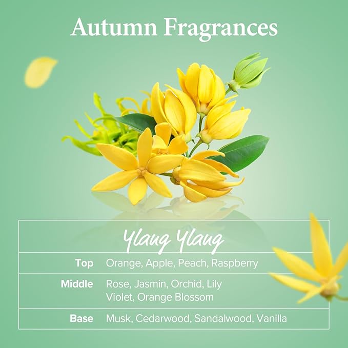 KUNDAL Honey & Macadamia Natural Conditioner, Korean Hair Care Damage Repair, Deep Hydration, Long Lasting Fragrance, with Honey, Argan Oil, Macadamia Oil 16.9fl oz (Ylang Ylang)