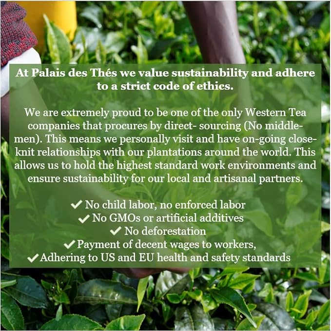 Palais des Thés - Organic Indian Wellness Black Tea for Digestion with Turmeric, Holy Basil, and Lemon - Premium Loose Leaf, Serves 20-25 Cups - 3.5oz Tin