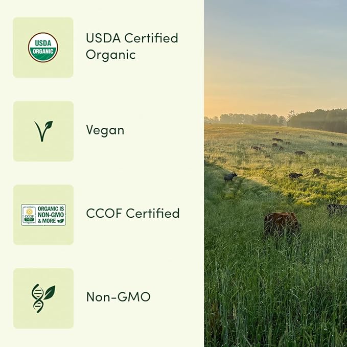 Once Daily Multivitamin for Women 50+, Supports Bone Strength, Energy, and Heart Health, 30 Count