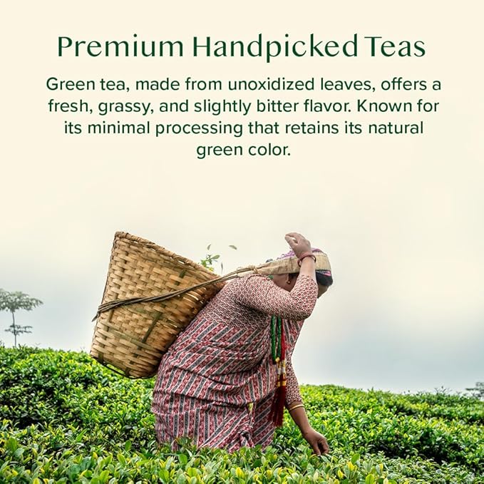 VAHDAM, Assorted Green Tea Loose Leaf Tea Gift Set (10 Flavors) Gift Ideas for Women & Men | Exotic Himalayan Green Tea Blends | Resealable Ziplock Pouch | Gifts for Him/Her