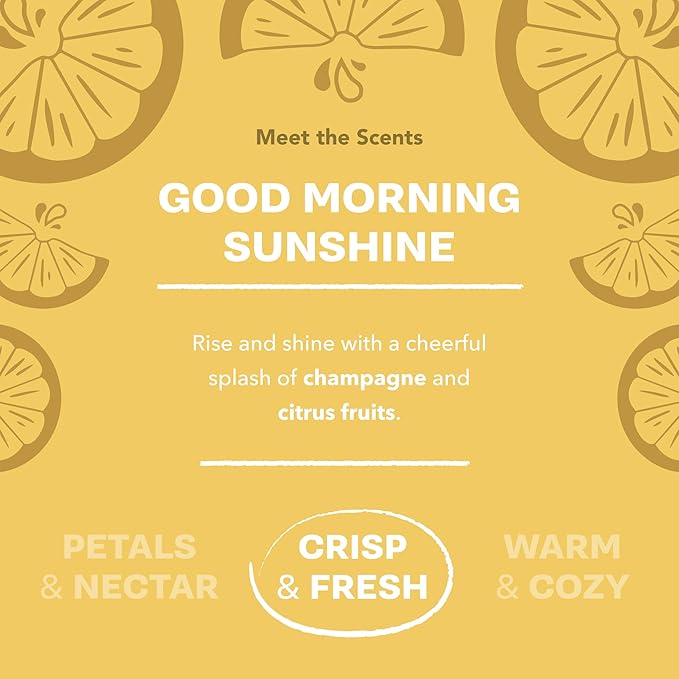 Buff City Soap Plant-Based Body Wash- Coconut Cleansers & Almond Oil Infused, Gentle & Rich Non-Drying Lather, Helps Reduce Moisture Loss & Supports Skin Barrier-Good Morning Sunshine, 12 fl oz