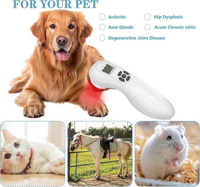 Powerful Cold Red Light Device for Body, Near Infrared Light for Joint Muscle with LED Display- Multi-Speed Regulation with Pulse Function(650nm+808nm)-White