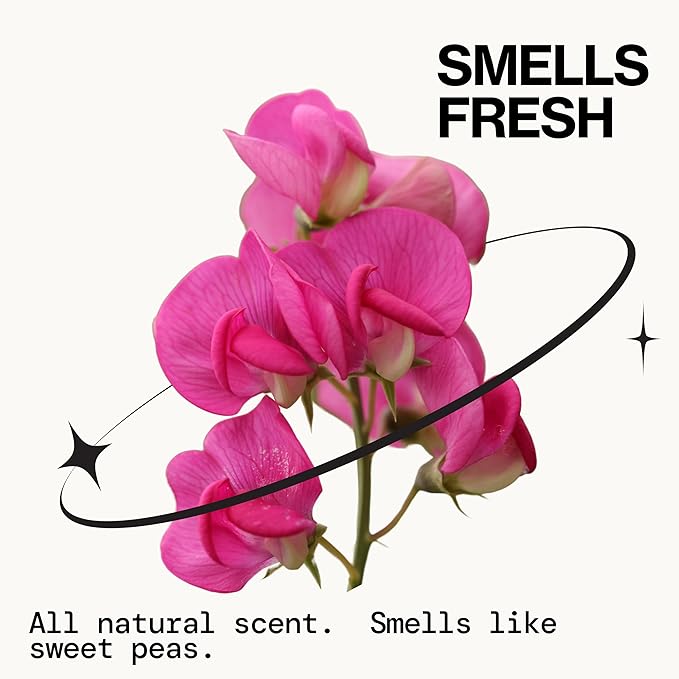 Pacifica Dry Shampoo Powder - Best Day Ever Waterless Shampoo & Instant Volumizer - adds Texture, Refreshes & Absorbs Oil, Non-Aerosol for Women of All Hair Types Natural & Vegan Dermatologist Tested