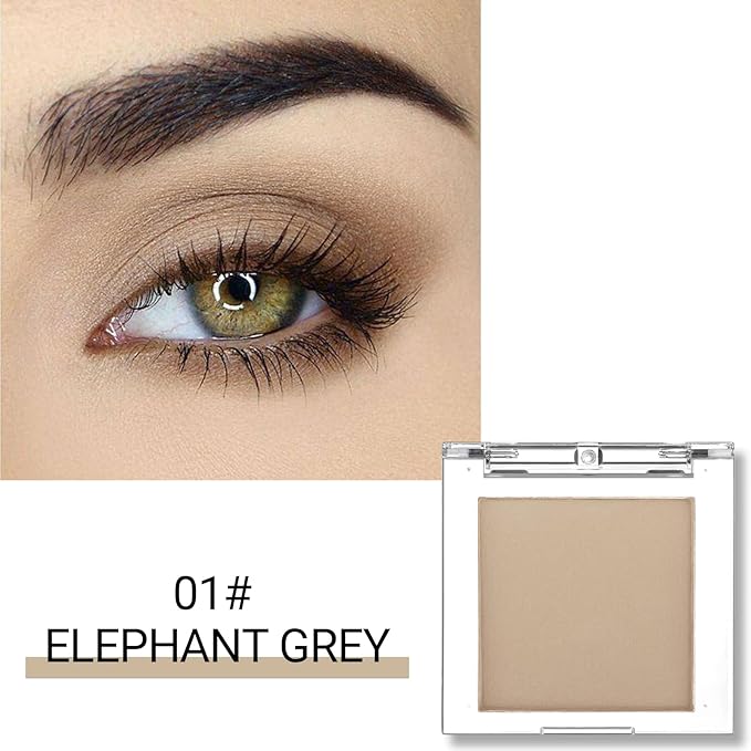 Erinde Single Taupe Matte Eyeshadow Palette, Natural Eye Shadow Makeup for Older Women, Neutral Nudes High Pigment Mini Monochrome Eyeshadow Sombra Para Ojos, Vegan & Cruelty-Free, C01 Elephant Grey