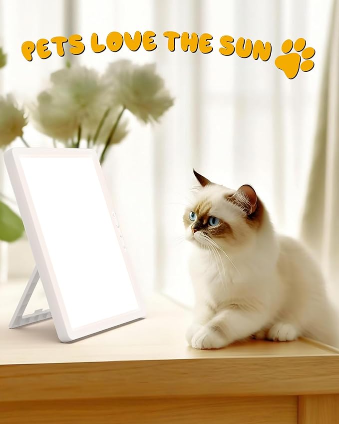 Light Therapy Lamp, 12000 Lux Full Spectum LED Sun Therapy Light with 3 in 1 Mount, Adjustable 10 Brightness/5 Color/Timer/Memory