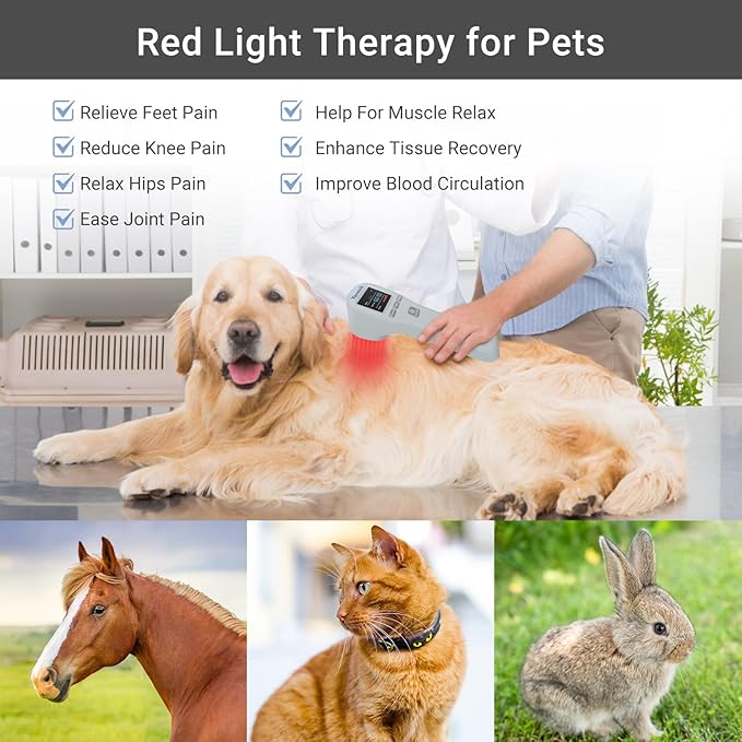 Red Light Therapy Device, 2x940nm+2x860nm+16x660nm, Cold Light Therapy Machine at Home, Handheld Light Therapy for Muscles Joints Relax, Light Therapy Wand Help with Pain for Body and Pets