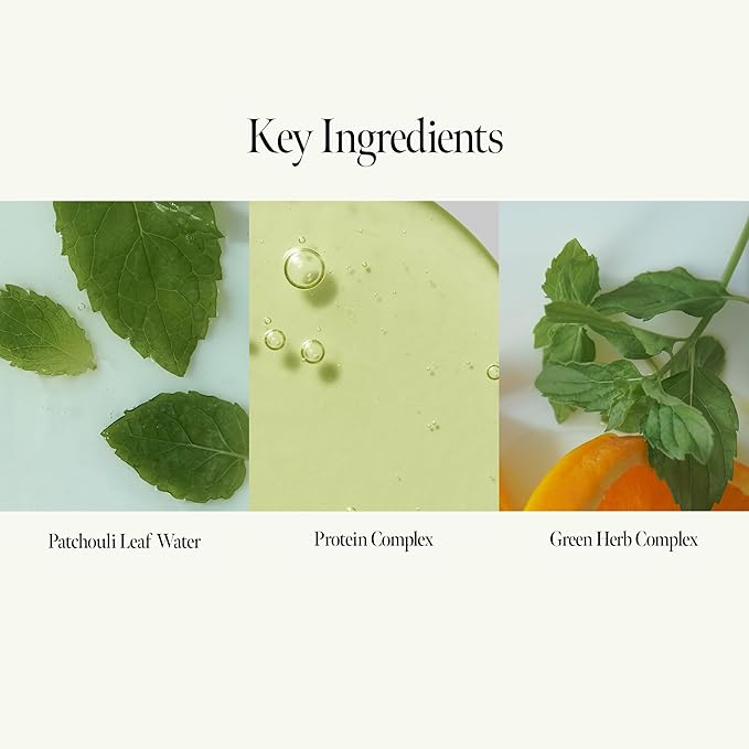 Patchouli Garden Damage Repair Hair Essence – Korean Hair Essence Oil for Damaged Hair w/Patchouli Leaf Water, Protein Complex & Amino Acids – Vegan Leave in Hair Serum (50ml / 1.69 fl. Oz)