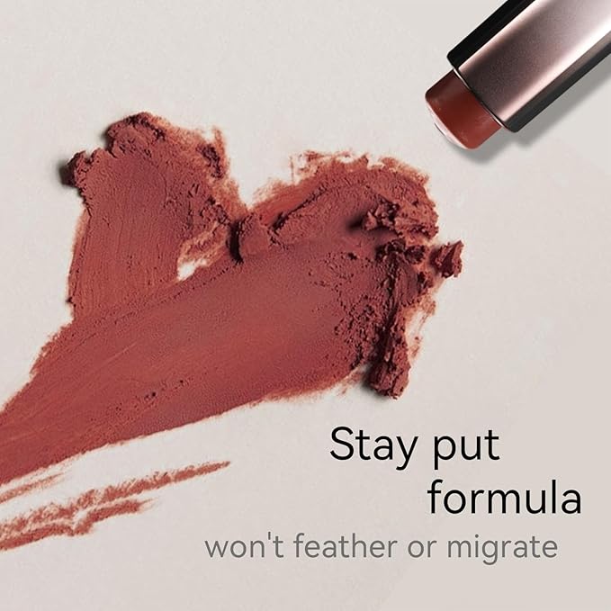 Matte Lipstick for Women, Long Lasting Moisturizing Lip Stain, Waterproof Lip Color Makeup (Reddish Brown)