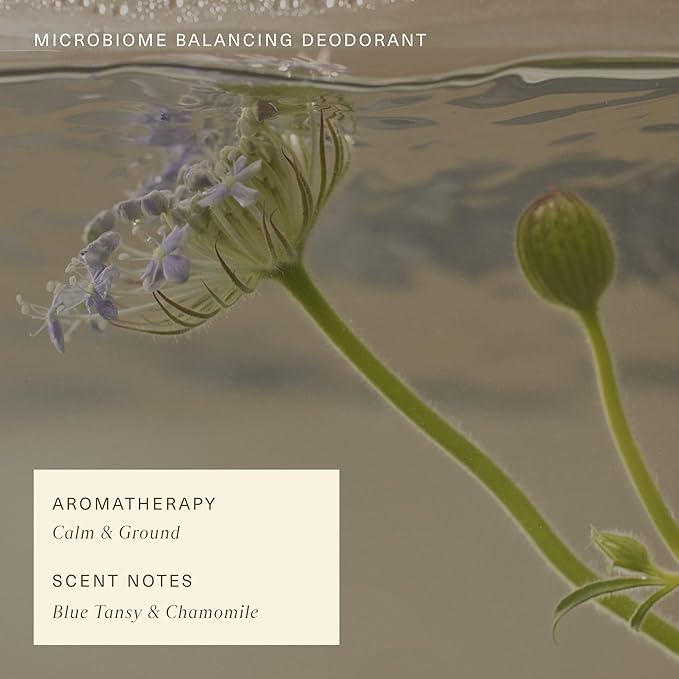 Oak Essentials Microbiome Balancing Deodorant | Aluminum-Free, Clean Deodorant with Blue Tansy for All-Day Odor Protection, 1.7 Oz