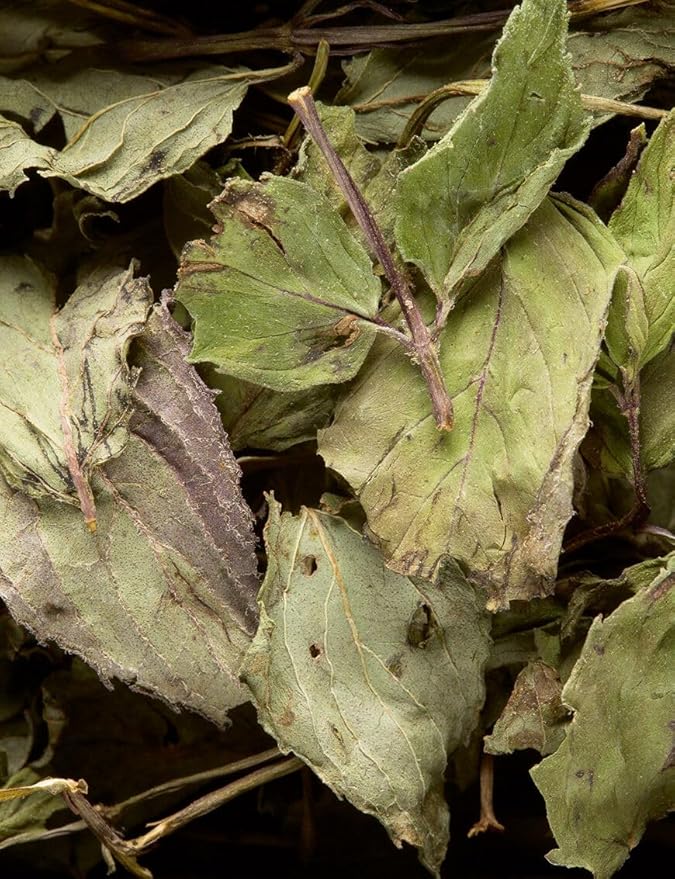 Dammann Freres Sachets, Menthe Poivrée Tea Bags, Premium Gourmet French Peppermint Herbal Tea, Individually Wrapped, 24 Count