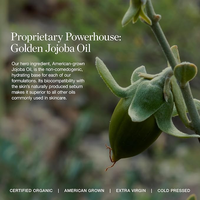 Ogee Glimmer Lip Gloss Trio - Limited Edition Holiday Makeup Gift Set - Includes Anemone, Poppy & Freesia - Certified Organic Lip Gloss for Women