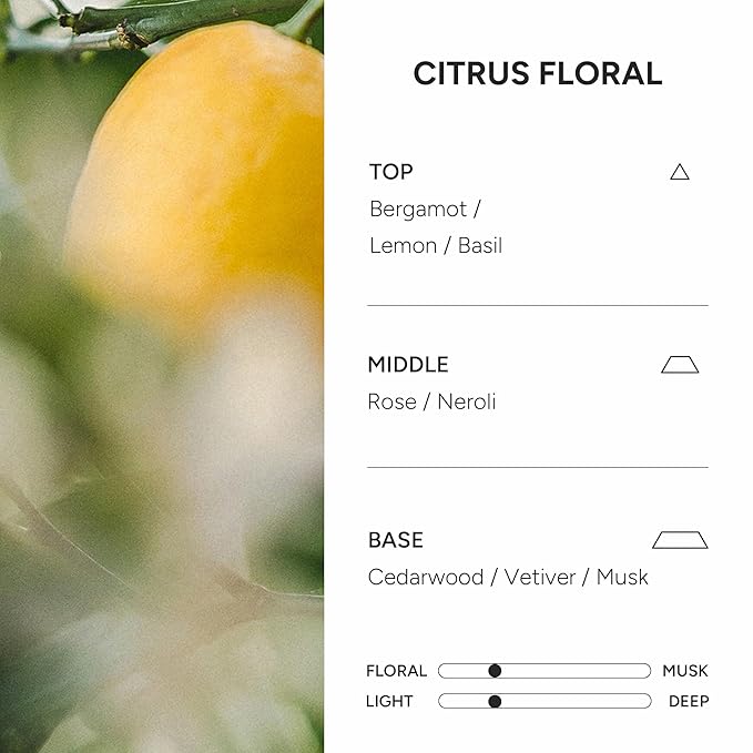 Perfumed Hair Oil & Serum 2-in-1 – Korean Essence Oil for Frizzy, Dry, Damaged Hair & Glass Hair Shine – Argan Oil & Amino Acids – Sulfate & Paraben-Free – Citrus Floral, 100ml / 3.38 fl oz