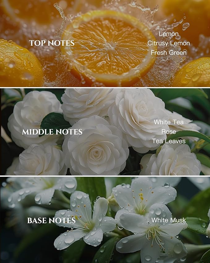 Aromadd White Tea Diffuser Oil Inspired by Luxury Hotel Scent, Essential Oils for Waterless Diffuser, White Tea & Bergamot, Long-Lasting & Natural Home Fragrance - 3.38 fl oz (100 mL)