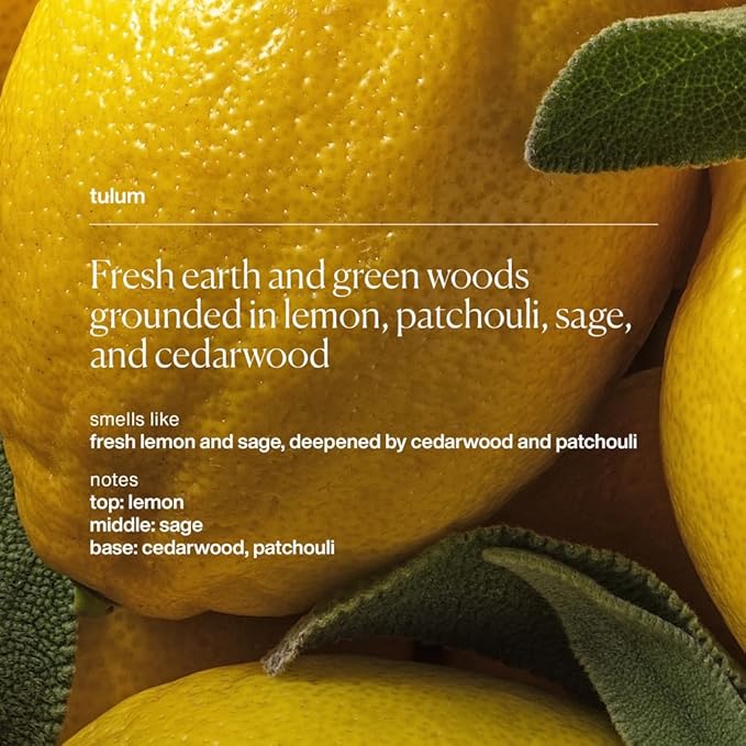 evolvetogether Aluminum Free Natural Deodorant Duo for Women & Men | Lemon, Sage & Patchouli | Neutralizes Odors, Soothes Skin | Vegan, Cruelty-Free, Baking Soda Free | Made in USA (Tulum, 1.69 Oz)