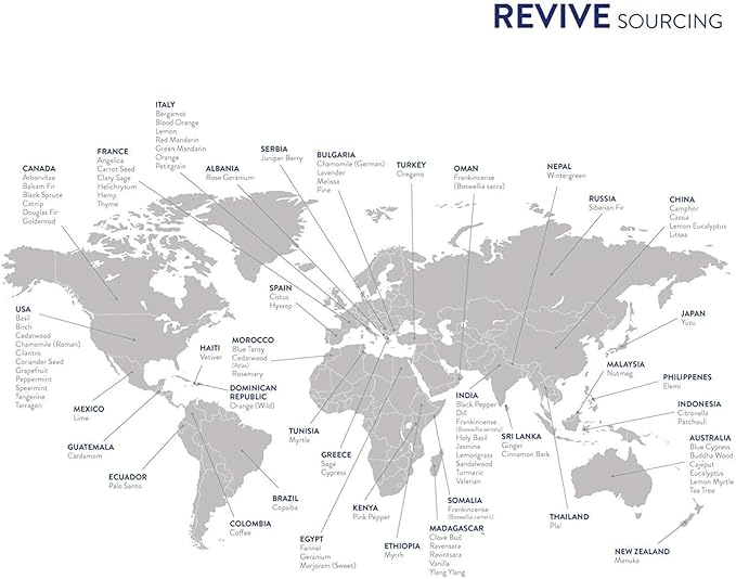 Pumpkin Pie Essential Oil Blend by REVIVEEO - 100% Pure Therapeutic Grade, for Diffuser, Humidifier, Massage, Aromatherapy, Skin & Hair Care