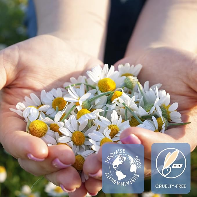 Wax Beads, 1lb Hard Wax Beans for Hair Removal Sensitive Skin with Chamomile Formula Waxing Beads for Full Body Brazilian Bikini Face Eyebrow at Home Wax Refill for Women Men