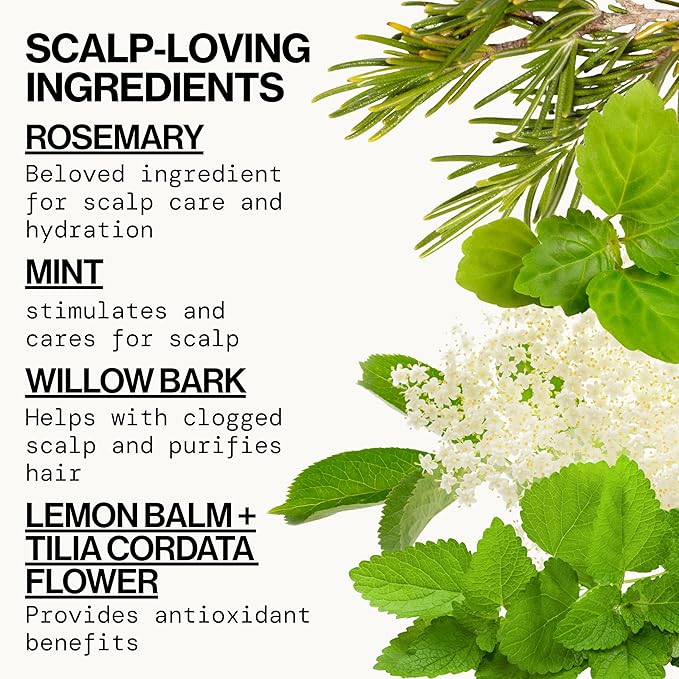 Pacifica Rosemary Mint Scalp Detox Shampoo – Clarifying Shampoo for Dry Flaky Scalp, Removes Buildup & Excess Oil, Invigorating Rosemary + Mint Clean Beauty Vegan Dermatologist Tested