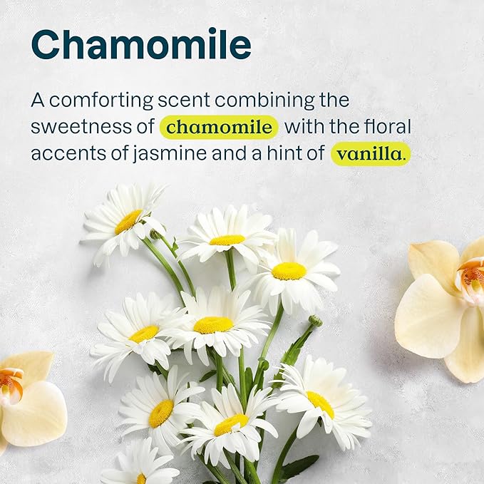 ATTITUDE Hair Conditioner for Sensitive Dry Scalp, For Thin Hair, Soothing Oat, Naturally Derived Ingredients, Dermatologically Tested, Vegan Detangler, Volume and Shine, 8 Fl Oz (Pack of 6)