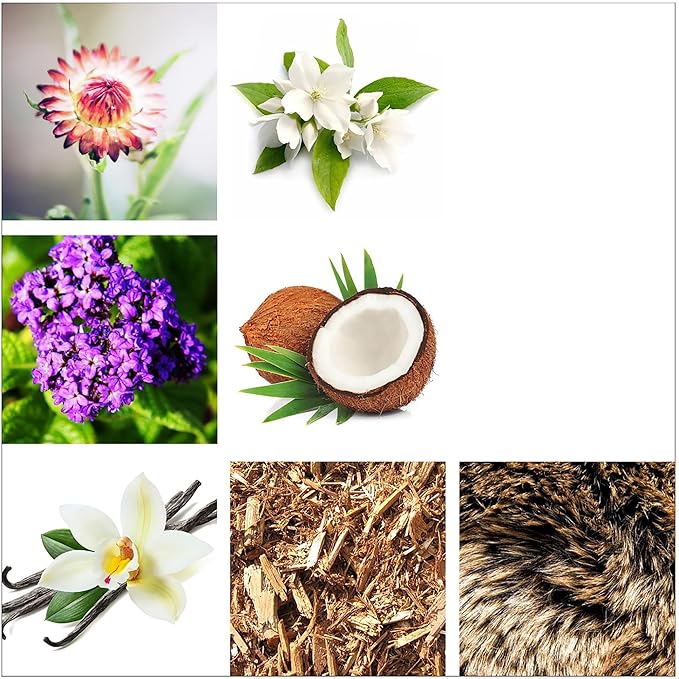 Rachel Zoe Empowered - 0.34 oz Eau de Parfum Mini Spray - Perfectly Balanced Feminine Perfume for Women - Awaken the Senses with a Lasting Signature Designer Scent