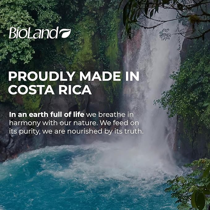 Argan Oil Shampoo - Nourishing & Revitalizing Shampoo for Treated & Dry Hair - 13.53 fl oz (400mL)