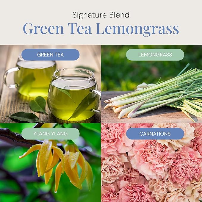 Green Tea & Lemongrass Aroma Oil, Essential Oils Blend for Diffusers and Scent Machines, Citrus, Floral & Green Notes, Aromatherapy, Cold Air Diffuser Compatible, 300 mL