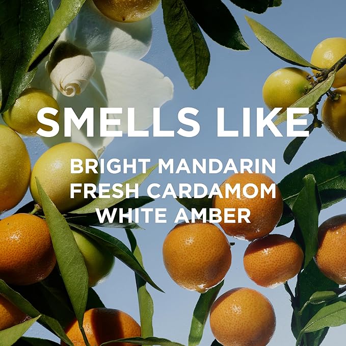 By Rosie Jane Eau De Parfum Travel Spray (Remi) - Clean Travel Perfume for Women - Enriched with Notes of Mandarin, Cardamom & White Amber - Vegan, Paraben, Sulfate & Phthalate Free (10 ml)