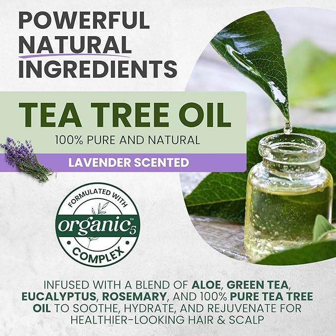 Tea Tree Lavender Shampoo & Conditioner Set with Mint & Rosemary, Cleanses, Cools & Soothes Dry, Itchy Scalp, Sulfate & Paraben-Free, For All Hair Types, 16 fl oz Each