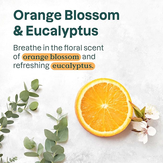 ATTITUDE Volume and Shine Hair Shampoo, EWG Verified, For Thin Hair, Naturally Derived Ingredients, Vegan, Plant Based, Soy Protein & Cranberries, 8 Fl Oz