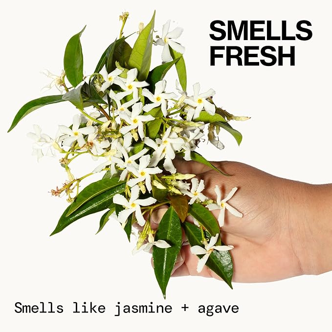 Pacifica Jasmine Agave Strength & Shine Foaming Shampoo – Repairing Foam Shampoo for Dry, Damaged or Bleached Hair, Deep Clean & Glossy Finish, Clean Beauty Vegan & Cruelty-Free Dermatologist Tested