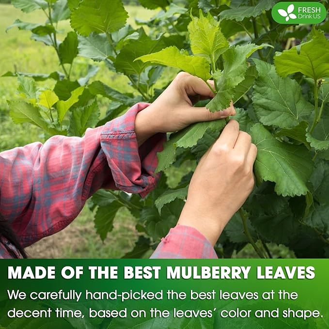 FreshDrinkUS, Permium 2oz Mulberry Leaves, 100% Natural & Pure from Mulberry Leaves, Mulberry Leaf Tea, Mulberry Loose Leaf Herbal Tea, No Additives, No Caffeine, Vegan