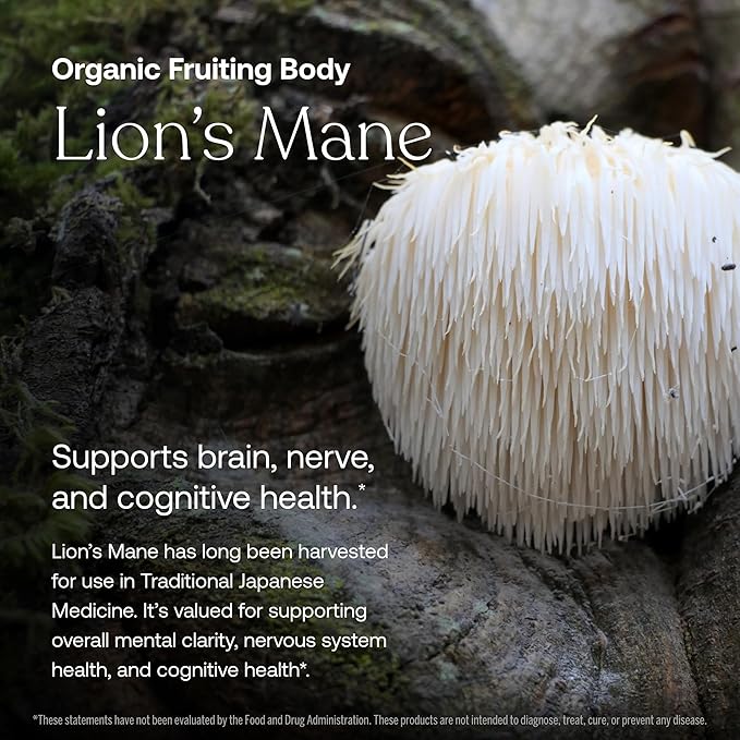 True Grace Daily Women’s Multivitamin 50+ - 60 Easy-to-Swallow Tablets - Immune, Energy, Longevity & Memory Support - Vegan - Gluten, Soy & Iron Free - 30 Servings