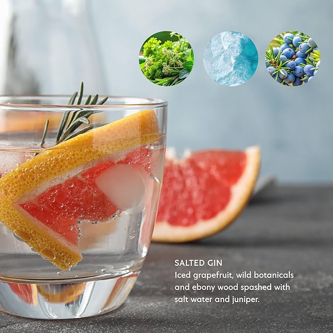 Mistral Salted Gin Post Shave Balm | Soothing Aftershave for Men with Aloe & Jojoba Oil | Non-Greasy Post Shave Moisturizer, For All Skin, Paraben & Phthalates Free | Made in France - 80ml