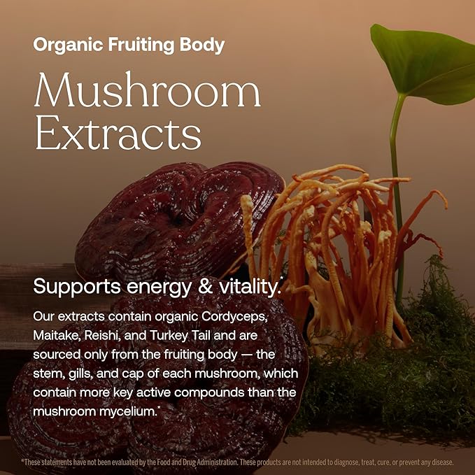 True Grace One Daily Women’s Multivitamin Fermented Minerals, Organic Adaptogens & Mushrooms Whole Body Balance, Immune, Energy, Beauty Support - Non-GMO, Gluten Free, Soy Free - 90 Vegan Tablets