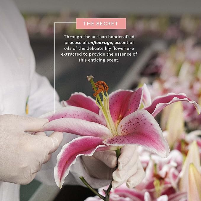 O BOTICARIO Lily Eau de Parfum, Long-Lasting Fragrance Perfume for Women, 2.5 Ounce