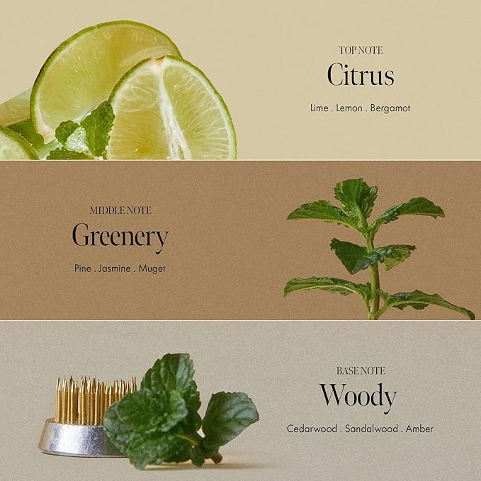 Sunday Refresh Lime Hair Essence with Vitamin C, Tea Tree Leaf Oil, and Green Mint - Enhancing Hair Vitality, Citrus Scent, Paraben-Free (50ml / 1.69 fl. Oz)