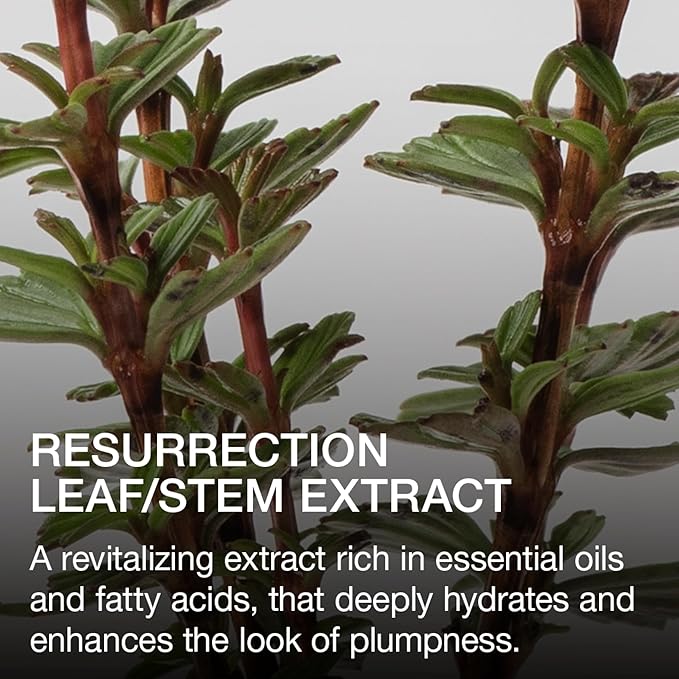 Ogee Beyond Clean Lip Gloss - Certified Organic Lip Gloss for Women - Effortlessly Plump, Hydrate & Add High-Shine Color, Poppy - Peachy Pink Shimmer