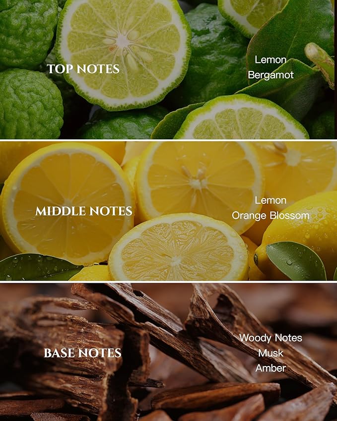 Aromadd Citrus Hotel Diffuser Oil Inspired by Luxury Hotel Scent, Essential Oils for Waterless Diffuser, Luxury Lemon & Bergamot, Long-Lasting & Natural Home Fragrance - 3.38 fl oz (100 mL)