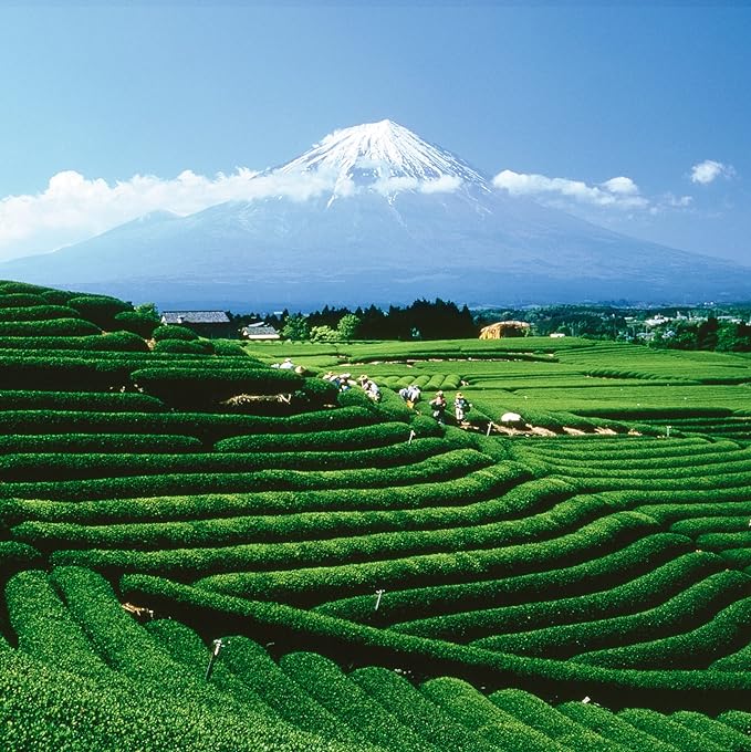 Palais des Thés - Organic Scandinavian Wellness Caffeine-Free, Herbal Tea for Natural Defenses with Birch, Sea Buckthorn, Cranberry, and Bilberry - Premium Loose Leaf, Serves 20-25 Cups - 3.5oz Tin