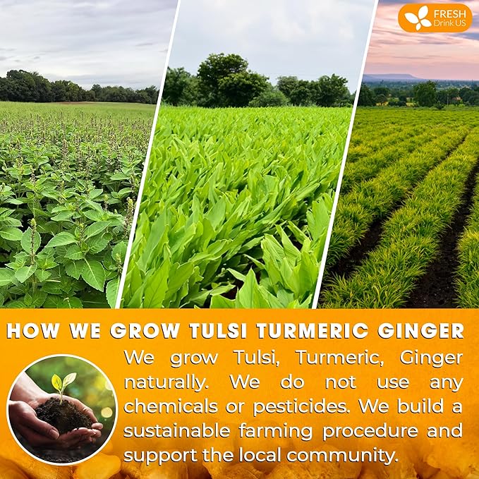 FreshDrinkUS, Premium 75 Tulsi Turmeric Ginger Tea Bags, 100% Natural & Pure from Tulsi Holy Basil Leaves, Turmeric and Ginger. Made with Natural Material Tea Bags. No Sugar, No Caffeine, Vegan.