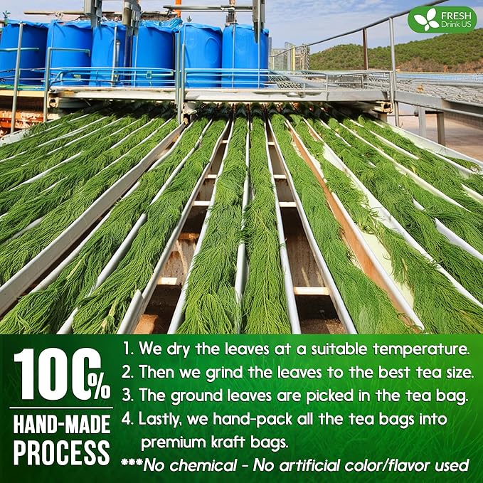 FreshDrinkUS, Premium 15 Horsetail Leaf Tea Bags, 100% Natural & Pure from Horsetail Loose Leaves Herbal Tea. Made with Natural Material Tea Bags. No Sugar, No Caffeine, No Gluten, Vegan.